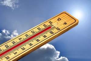 МЧС предупреждает астраханцев о сильной жаре