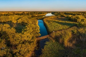 В Астраханской области увеличились  водно-болотные угодья в дельте Волги