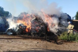 В поселке Астраханской области сгорели 6 тонн сена