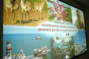 В Астраханской области обсудили  сохранение биоресурсов Нижней Волги и Северного Каспия