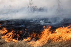 До конца июня в Астраханской области сохраняется чрезвычайная пожароопасность