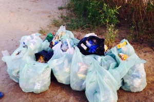 В первый день акции &quot;Эко-патруль&quot; астраханцы собрали на городском пляже более тонны мусора