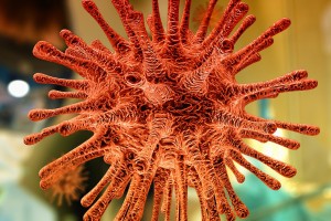 «Лямбда» - новый штамм коронавируса ВОЗ объявила представляющим интерес
