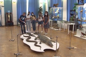В астраханском краеведческом музее открылась обновлённая выставка экзотических животных