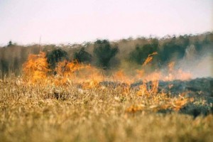 МЧС предупреждает о чрезвычайной пожароопасности в Астрахани