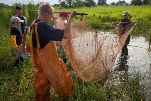Астраханские школьники спасли 39 миллионов мальков ценных пород рыб