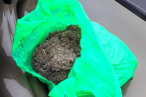 В Астрахани поймали молодого наркодилера с коробком марихуаны