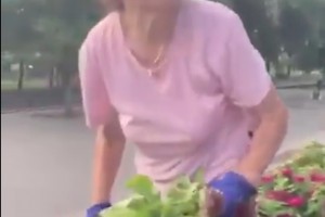 В Астрахани пенсионерка разорила клумбу на бульваре Победы