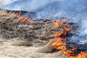 Предупреждение МЧС: югу и центру Астраханской области грозит высокий риск пожаров