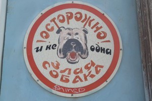 Астраханская ветслужба обнаружила нарушения в работе приюта для собак