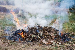 В Астраханской области снова горит мусорный полигон