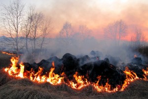 Астраханцев предупреждают о запахе гари