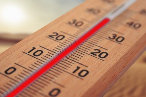МЧС предупреждает об аномальной жаре в Астраханской области