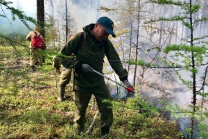 В Якутии за сутки ликвидировали 15 пожаров