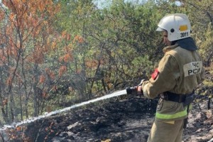 В России снижается количество природных пожаров