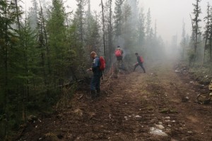 В Якутии за сутки ликвидировали восемь природных пожаров