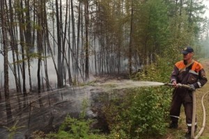 В Якутии за сутки ликвидировано девять природных пожаров
