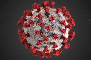 За сутки в&#160;Астраханской области выявлено 290 новых случаев коронавируса