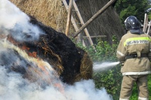 В Астраханской области на площади 5 000 кв. метров сгорели сено и сухостой