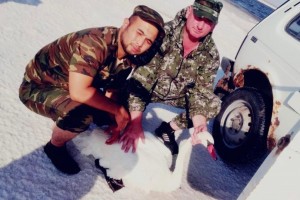 В Астраханской области из солёного водоёма спасли лебедей