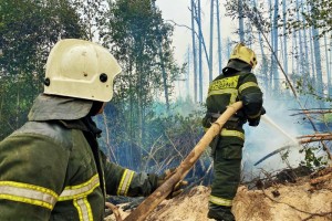МЧС России круглосуточно продолжает борьбу с природным пожаром в Мордовии