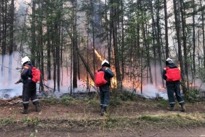 В Якутии за сутки ликвидировали 18 природных пожаров на площади свыше 434 тыс. га