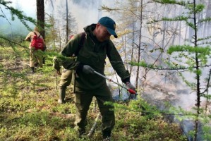 В Якутии за сутки ликвидировано 22 природных пожара на общей площади свыше 105 тыс. га
