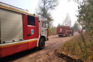 Пожарно-спасательные подразделения продолжают ликвидировать пожар в Самарской области