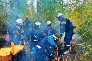 Огнеборцы из семи регионов продолжают бороться с пожаром в Мордовском заповеднике