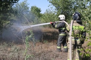 На Городском острове Астрахани несколько часов горела сухая растительность