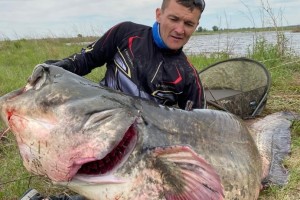 В Астраханской области поймали сома-гиганта на 124 килограмма