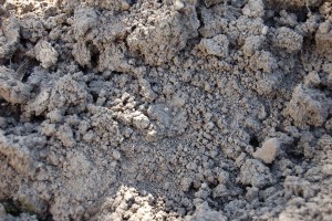 Астраханская фирма заплатит штраф за перемещение плодородной почвы