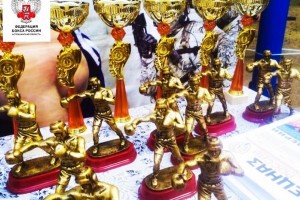 Астраханские боксёры завоевали 8 медалей на престижном межрегиональном турнире