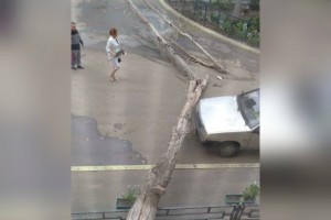 В Астрахани после дождя падают деревья