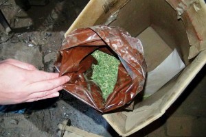 В Астраханской области у сельчанина полиция нашла наркотики в крольчатнике