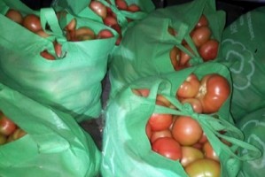 В Астраханской области ради похищения помидоров сельчанин пополз по сливной трубе