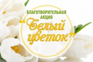 В Астраханской области проходит ежегодная благотворительная акция «Белый цветок»