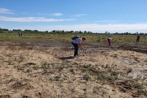 В Астраханской области приступили к работе по определению деградации почв