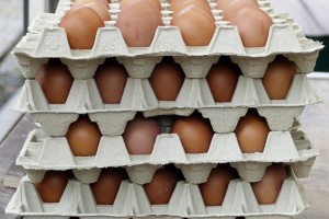 Из Астраханской области запретили вывозить в Казахстан куриные яйца и шашлык
