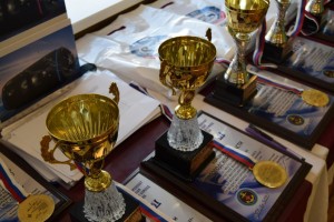 Инспекторы ГИМС Ульяновской области стали победителями XIV Всероссийского Чемпионата по водно-моторным соревнованиям