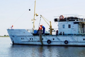 Астраханские учёные завершили исследования 2021 года по воспроизводству рыб в Волге