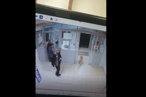 «Магнит» прокомментировал случай с отравлением собак в Астраханской области