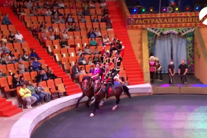 Астраханский цирк представил новую программу