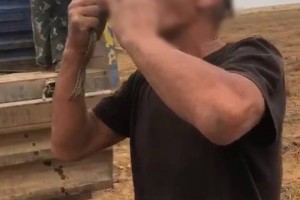 В Астраханской области СК проводит проверку по факту гибели мужчины после укуса змеи