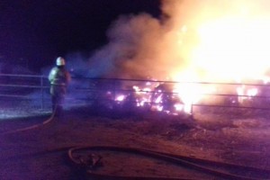 Ночью в Астраханской области сгорели 170 рулонов сена