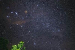 Астраханцев приглашают в астрономическую экспедицию посмотреть «метеорный дождь»