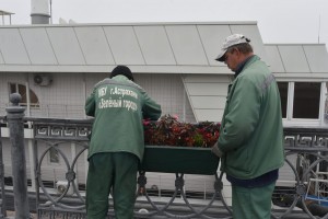 Сегодня в Астрахани уберут почти 150 вазонов с летними цветами