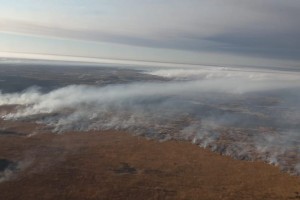 Пожар на границе Астраханской области тушат 33 спасателя