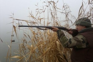 Астраханцы и&#160;гости региона массово нарушают правила охоты