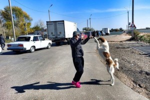 Ведущая-француженка Сесиль Плеже порадовалась астраханским собакам